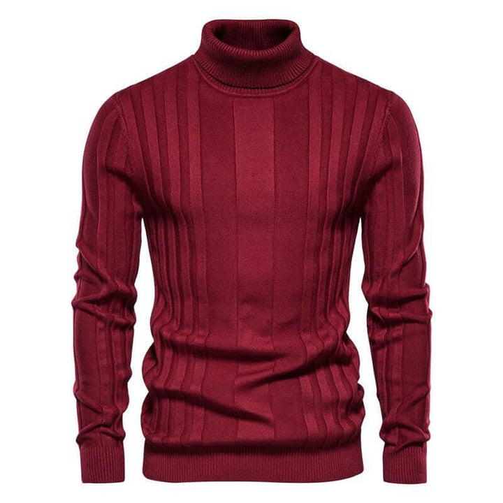 Adam™ - Striped Turtleneck